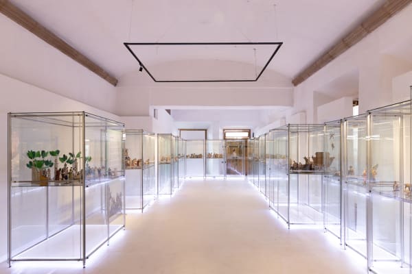 NACIMIENTO, MIRADAS EN EL TIEMPO (2024), Centro Cultural Palacio del Ayuntamiento San Luis Potosí
