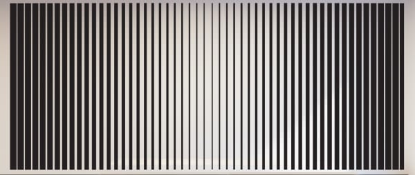 Mariana Villafañe Campo Vibratorio I