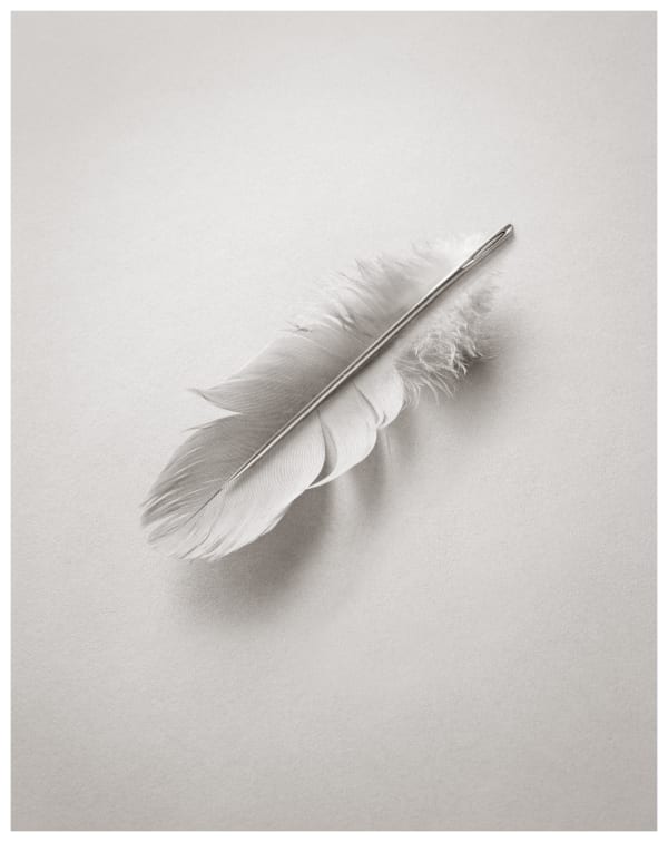 Chema Madoz Sin título (Aguja Pluma)
