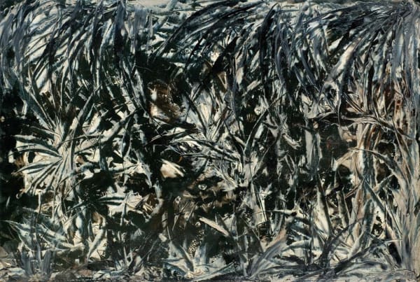 José Trinchin, Untitled