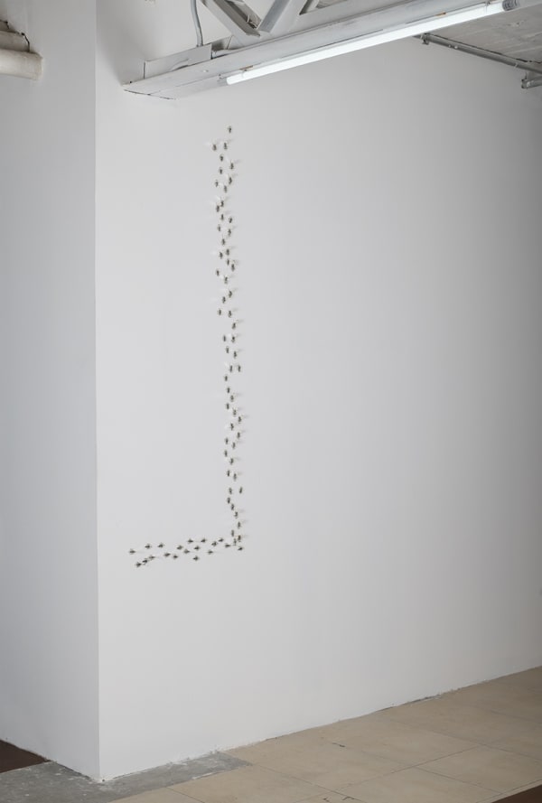 Mario García Torres Sem título [Untitled], n. d. prata [silver] 1.5 x 1 x 1 cm cada [each] foto [photo]: Omar Bocanegra