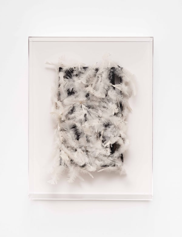 Caetano de Almeida Vendetta, 2025 madeira, asfalto líquido e penas [wood, liquid asphalt and feathers] 60 x 46 x 20 cm 23 5/8 x 18 1/8 x 7 7/8 in