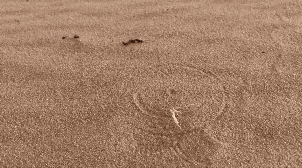 Marcius Galan Anti-horário, 2025 vídeo colorido, som [coloured video, sound] dimensões variáveis [variable dimensions]