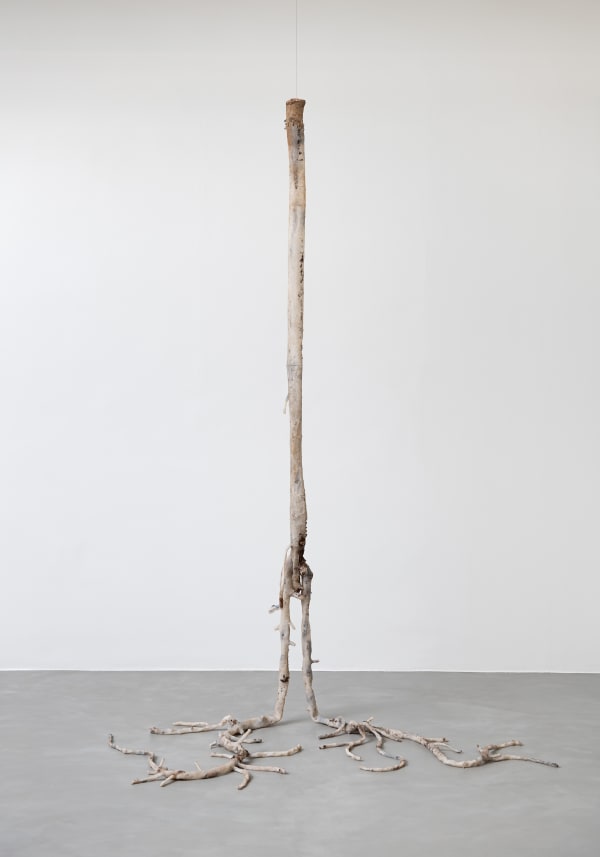 Clarissa Tossin Fatalidade do Aquecimento Global (Persea americana, jardim de casa, Los Angeles) [Rising Temperature Casuality (Persea americana, home garden, Los Angeles)], 2021 silicone, pigmento preto e casca de árvore [silicone, black pigment e tree bark] 320 x 122 x 147 cm 126 x 48 x 57 7/8 in (19833)