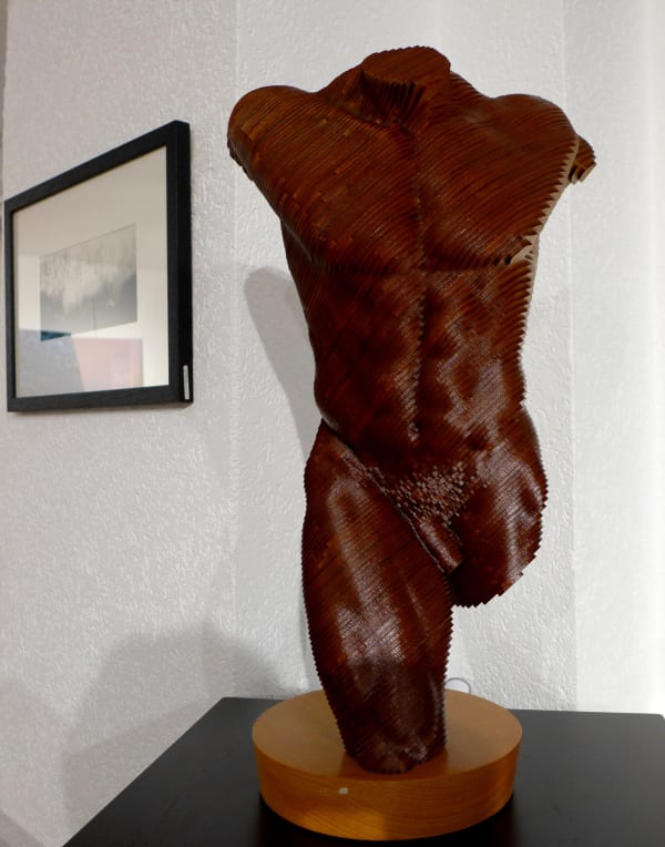 Olivier Duhamel - THE SHAD, 2018