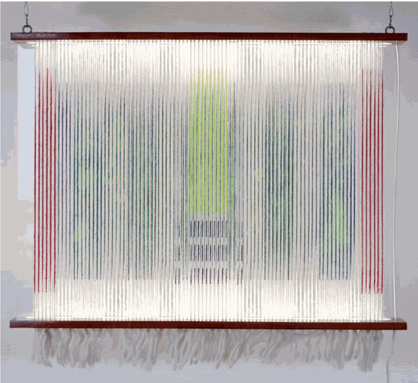 Chinche Azul, 2022 Silkscreen printing on wool and alpaca yarns, Padouk, led neon, Plexiglas 100 x 75 cm