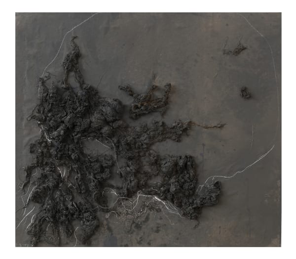 Guillem Nadal, N-2069, 2017