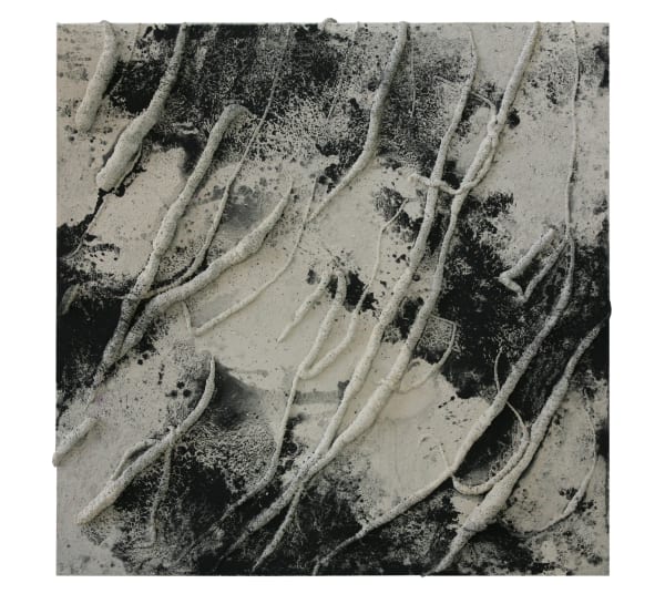 Guillem Nadal, N-2070, 2010