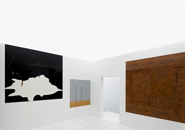 Sherp & Schieve, Galerie Catherine Issert 2009, ©François Fernandez