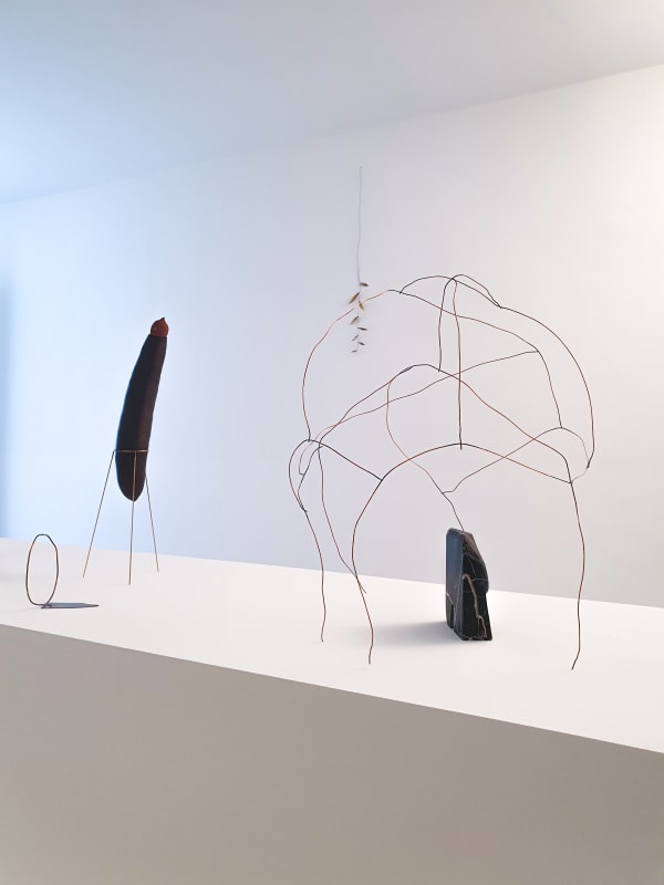 Nota bene Martin BELOU Galerie Catherine Issert Juin 2021
