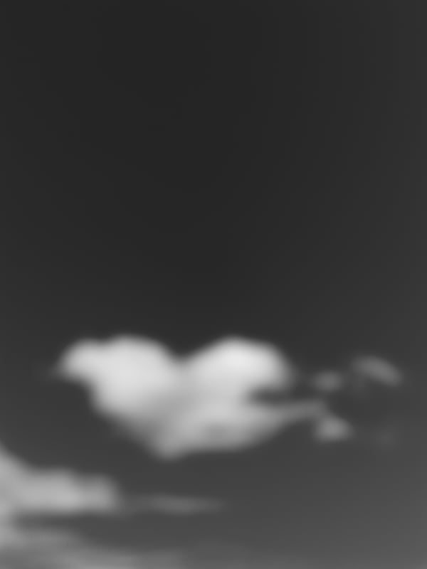 21 02 2022 0268 Bw V 0001