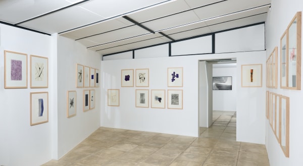 Thomas MÜLLER Rhizome, dessins Mai - Juin 2025 Crédit photo : François Fernandez Courtesy de l'artiste et de la galerie Catherine Issert