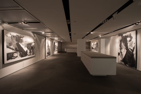 Lan Zhenghui Solo Exhibition18