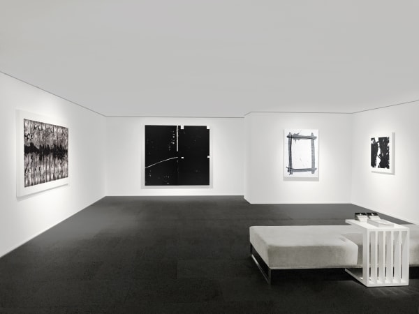 Galerie Du Monde Forms Of Ink Installation View 2