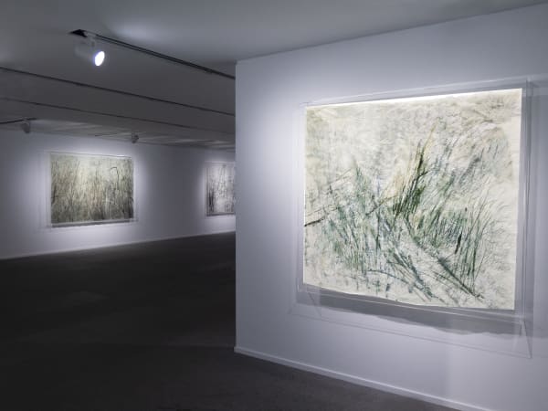 Galerie Du Monde Wang Gongyi Leaves Of Grass Installation View 5
