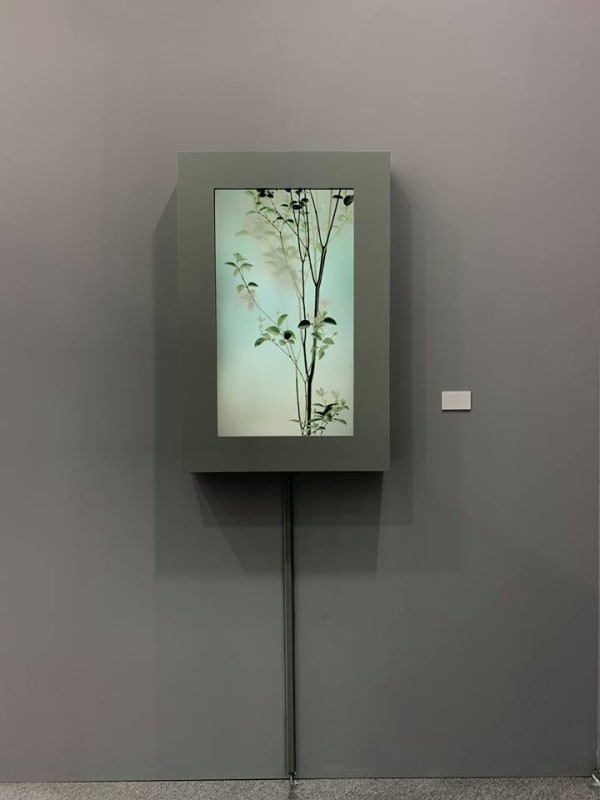 Taipei Dangdai 2019 Installation View 2