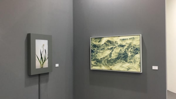 Taipei Dangdai 2019 Installation View 3