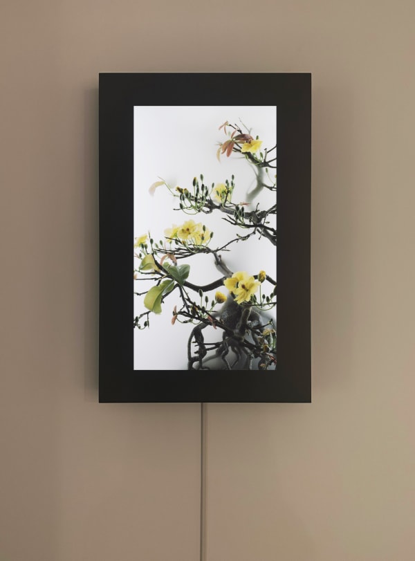 Galerie Du Monde Quintessence Installation View 7