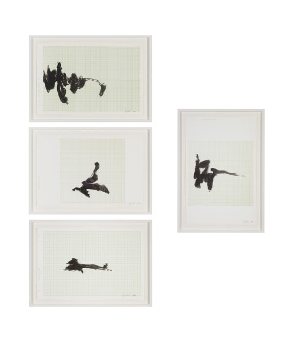 Signatur (Ausreißer) / Signatur (Bergwanderung) / Signatur (Ost-West Bewegung) / Signatur (Naturzeichen) (2007)