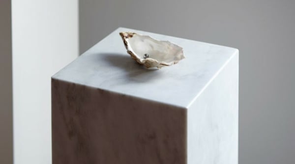 Ausstattung und Aneignung eines Objekts durch Liebe (Edition 2/3), 2013