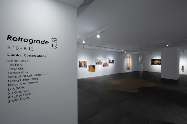 Gdm Retrograde Installation View 1 R
