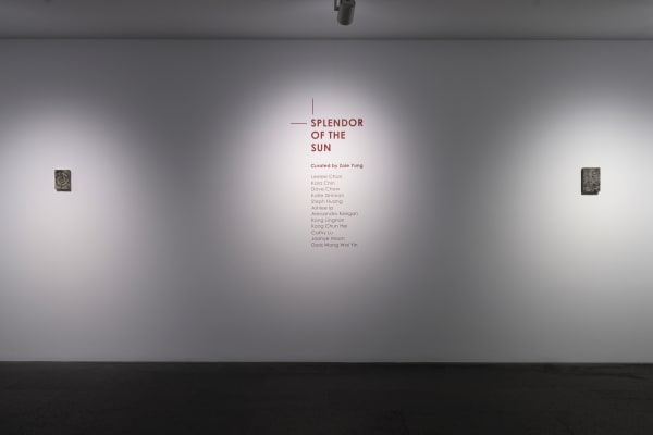 Sots Installation View 22