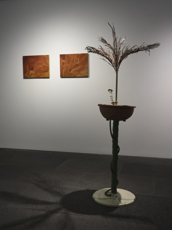 Sots Installation View 3