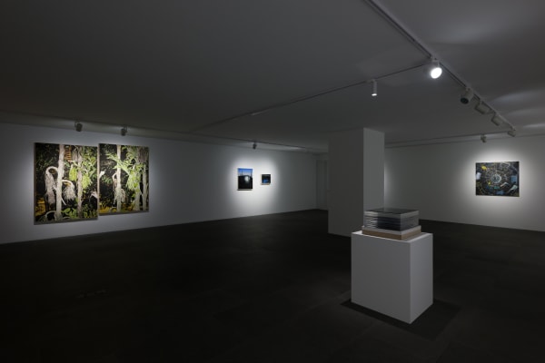 Installation View 17
