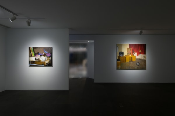Installation View 20