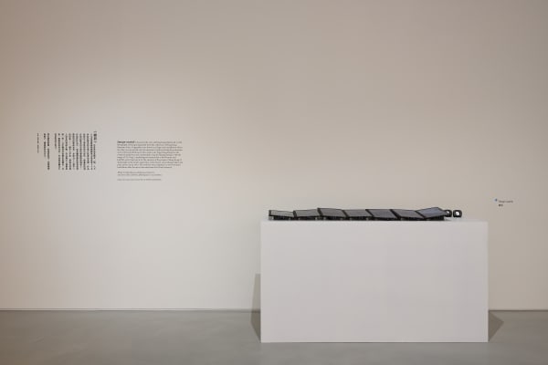 20251024 Lam Tung Pang 0064 Large