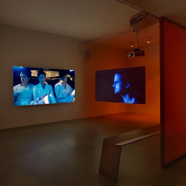 Alison Nguyen - history as hypnosis -- history as hauntology, 2023