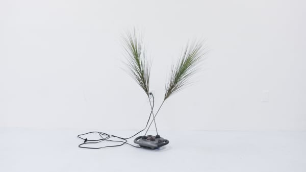 Rachel Youn Possession Artificial Plants, Percussion Massager 99 x 99 x 76.2 cm, 2020