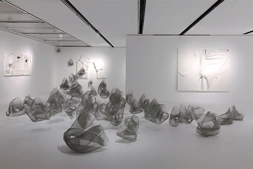 Stella Zhang - Translution