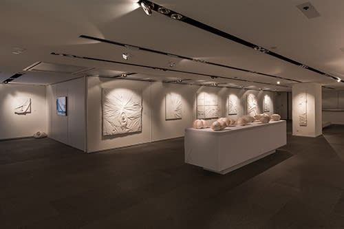 Stella Zhang - 0-Viewpoint