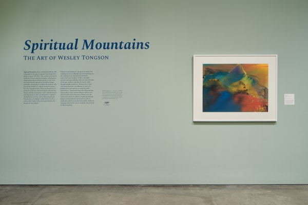 Installation View of "Spiritual Mountains: The Art of Wesley Tongson"