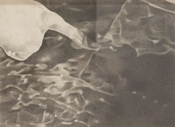 Tang Kwong San dia I (2021) Graphite on Paper 22 x 30 cm
