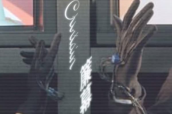 "Curtain" Curatorial Panel and Guided Tours