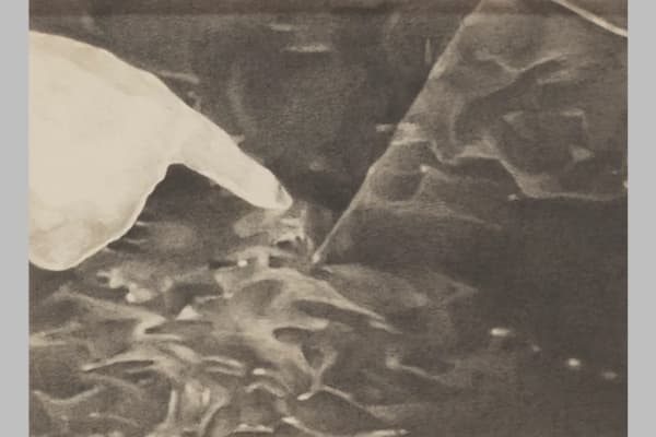 Tang Kwong San