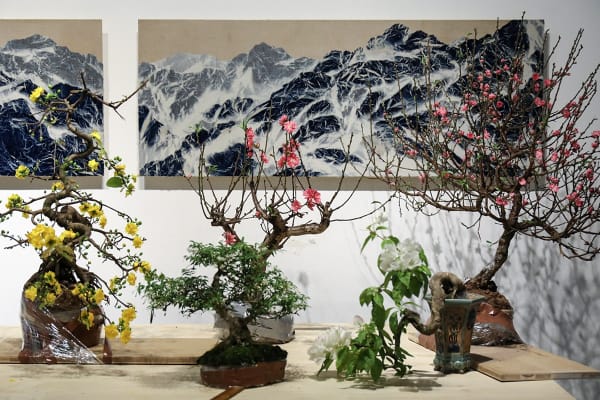 Shooting plants in the studio.