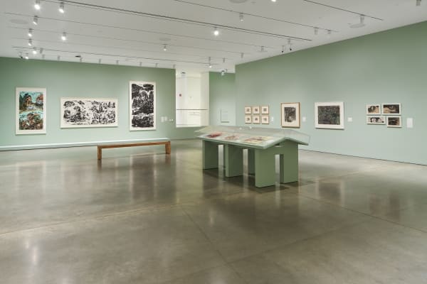 “Spiritual Mountains: The Art of Wesley Tongson” Installation View