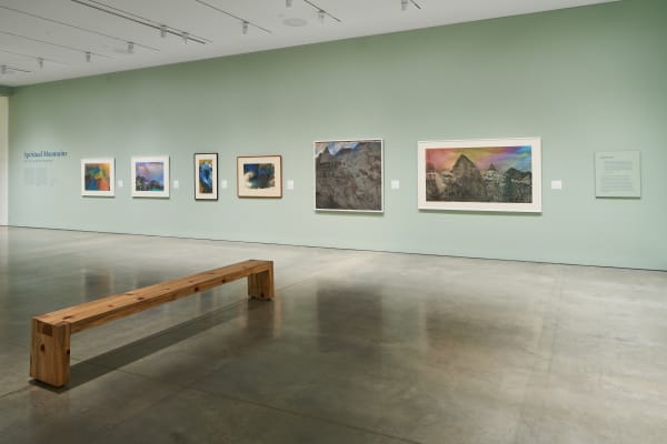 Installation View of "Spiritual Mountains: The Art of Wesley Tongson"