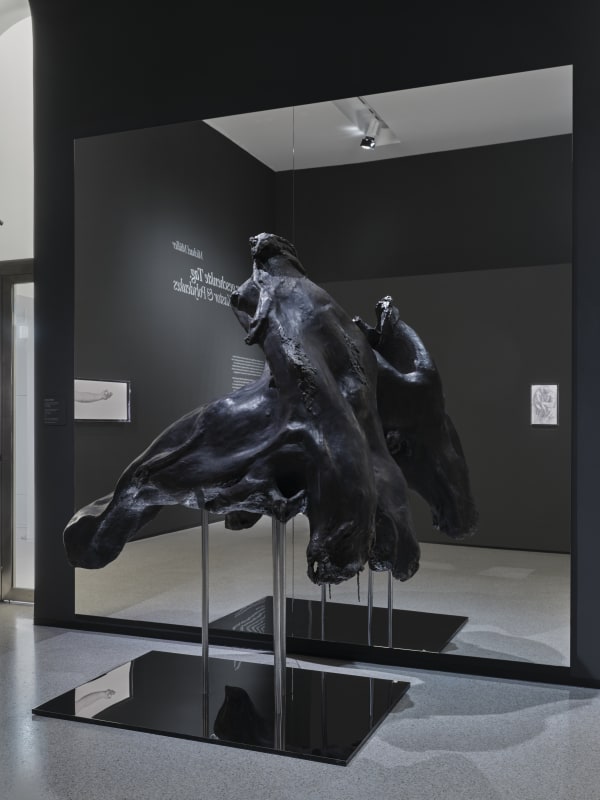 Exhibition View "Michael Müller: The Given Day. Castor & Polydeuces" Photo: Städel Museum – Norbert Miguletz