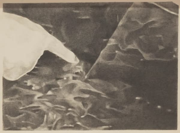 Tang Kwong San dia III (2021) Graphite on Paper 22 x 30 cm