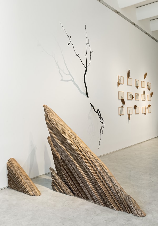 Dutko 250523 012 Bd Mail V2