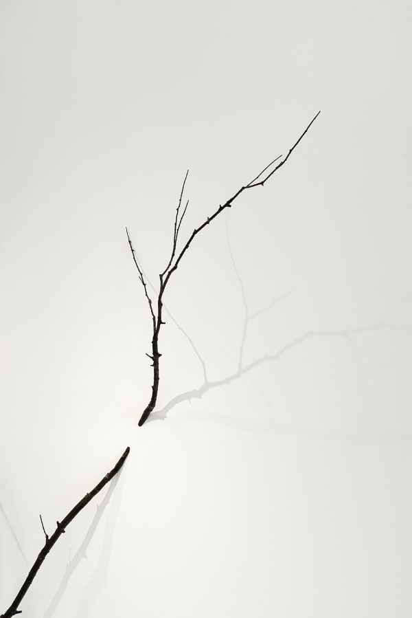 Dutko 250523 091 Bd Mail