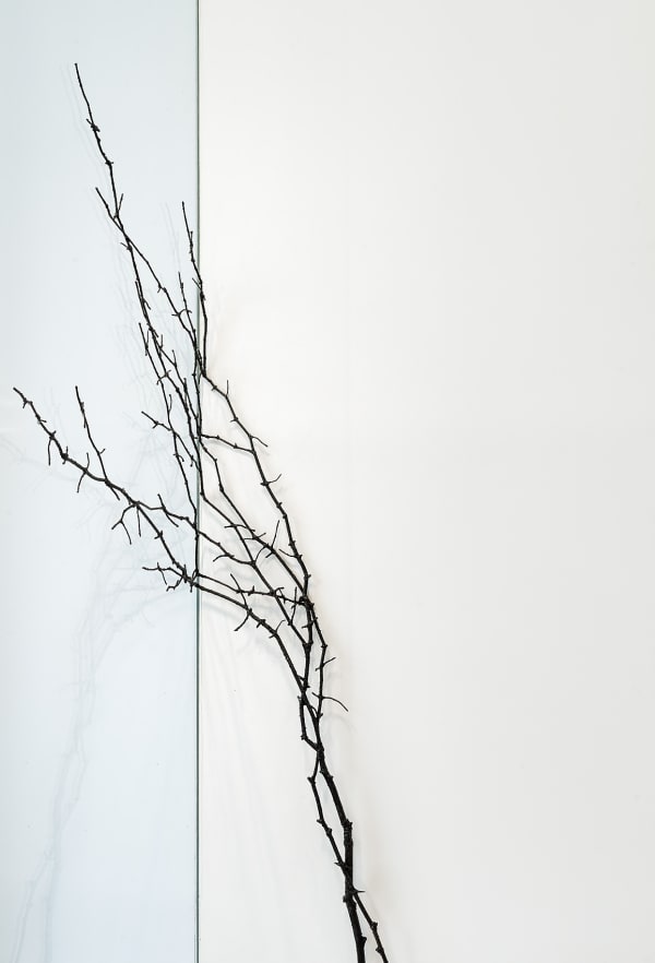 Dutko 250523 098 Bd Mail