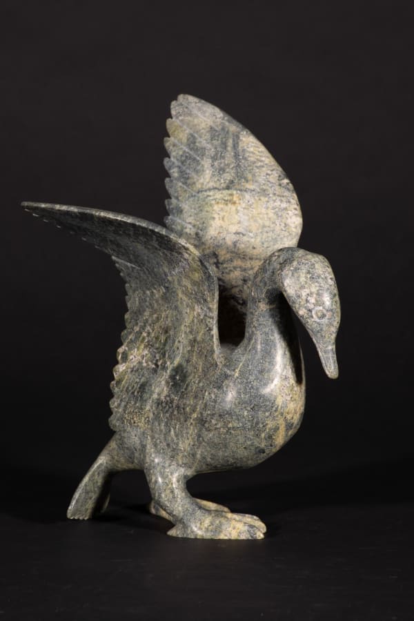 For the Birds Fall Migration