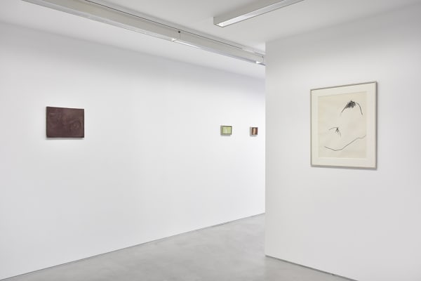 Pierre Tal Coat, L'émerveillement abrupt