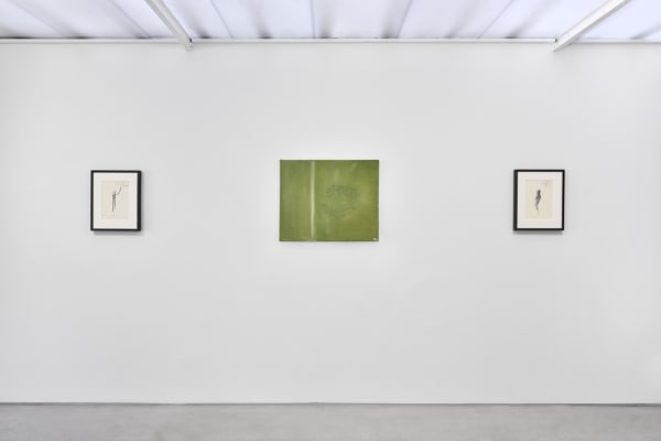 Pierre Tal Coat, L'émerveillement abrupt