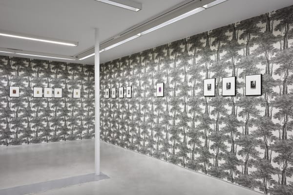 Marcel Bascoulard, Sélection 16.01 - 27.02.2021